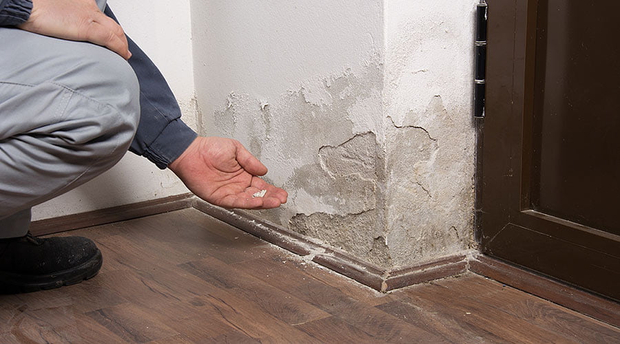 Water Damage Statistics Every Homeowner Should Know in 2024